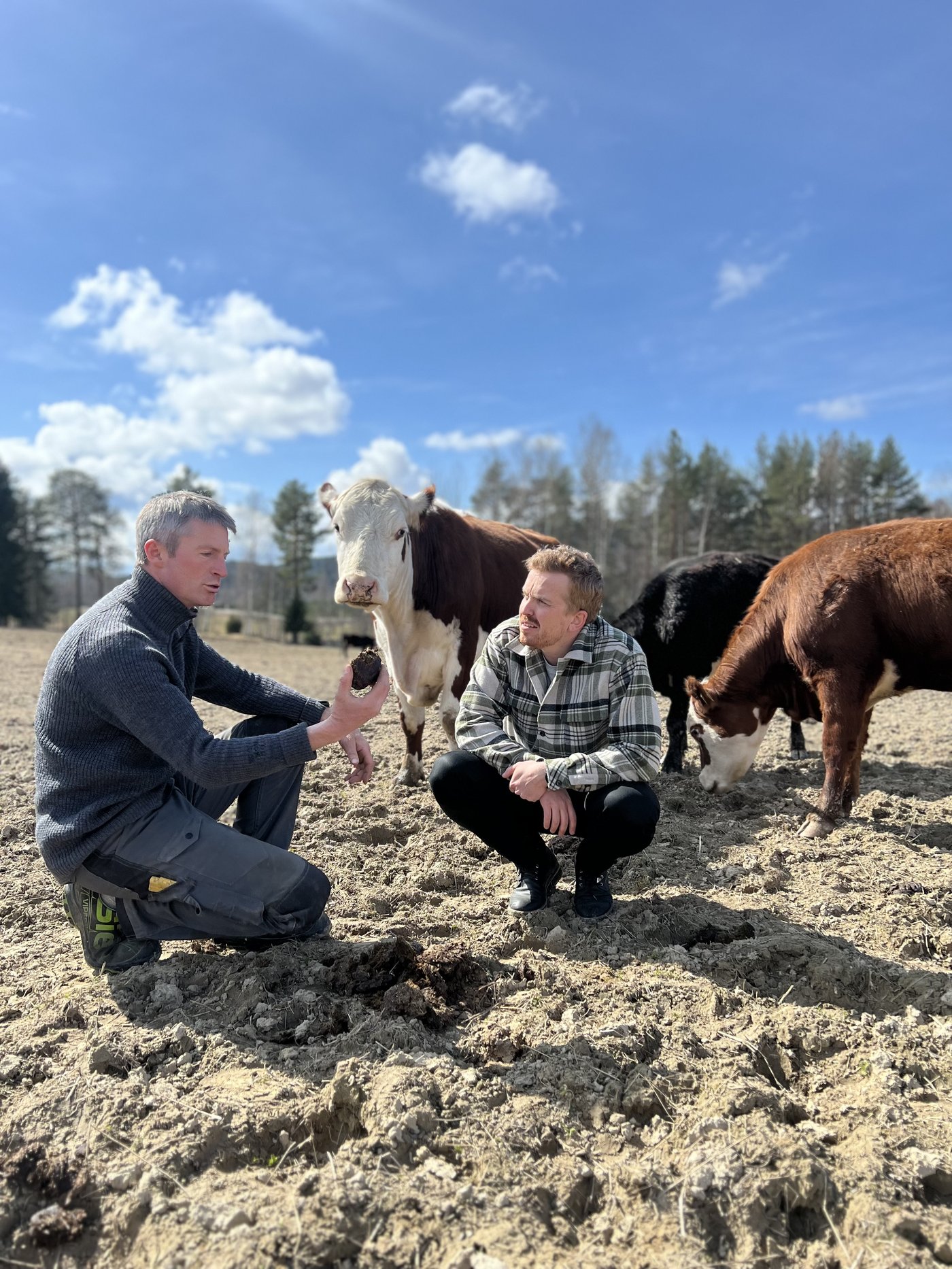 Kristoffer Torheim i felt med bonde og kyr