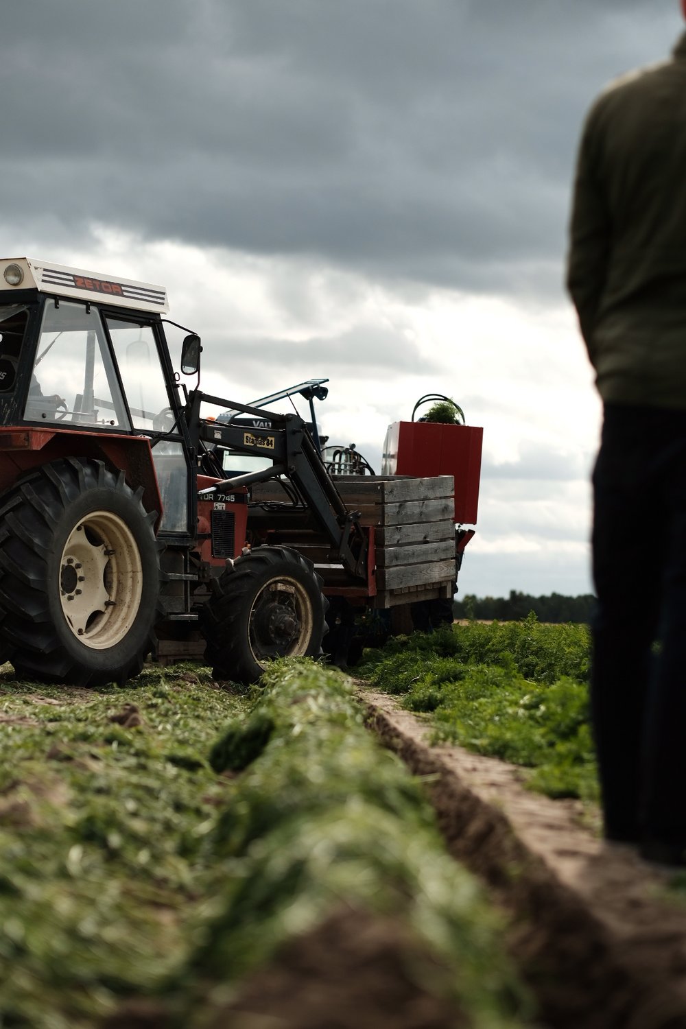 Innhøsting på norsk gård
